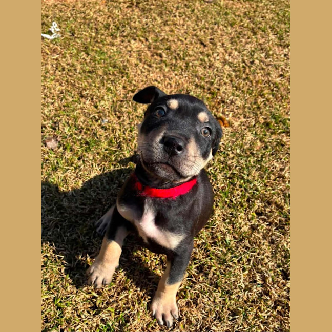 Photo of Reginald