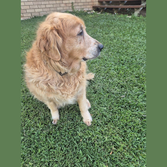 Photo of Lola