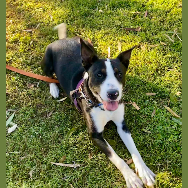 Photo of Mia