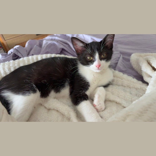 Photo of Daisy