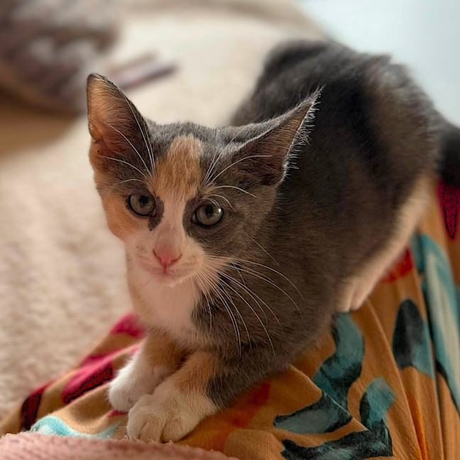 Photo of Heidi
