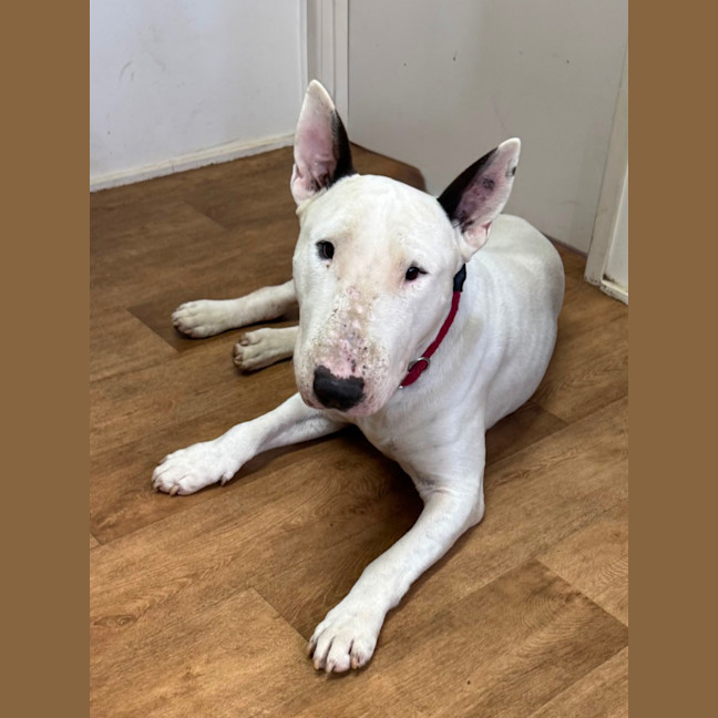 Photo of Zeus