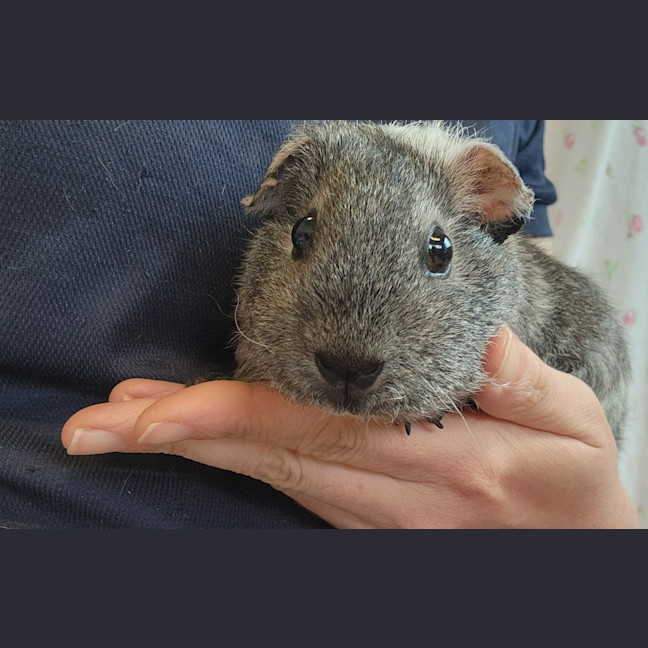 Photo of Amara Stormrider