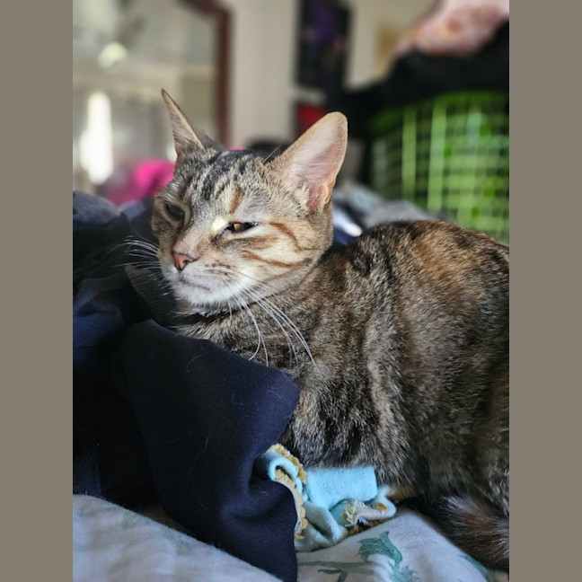 Photo of Trinity