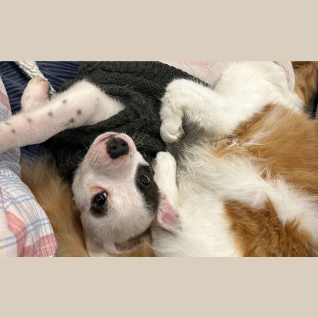 Photo of Wilma 
