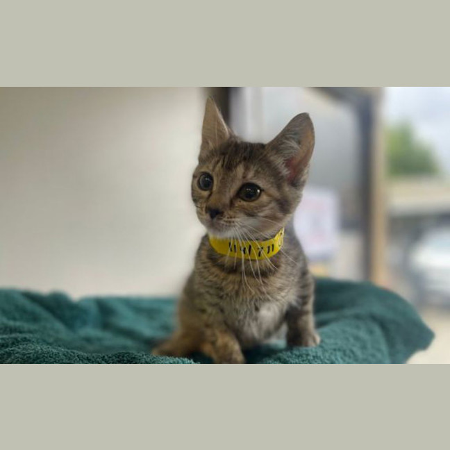 Photo of Hazel