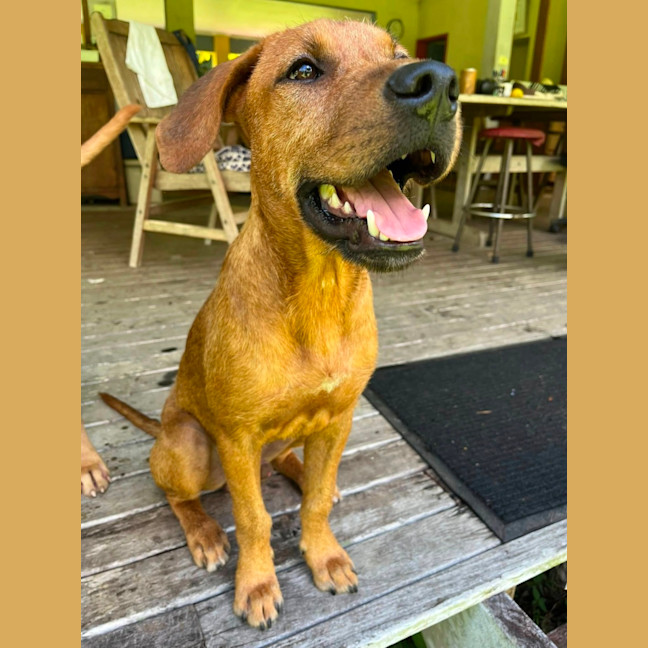 Photo of Clifford Aka Cliffy