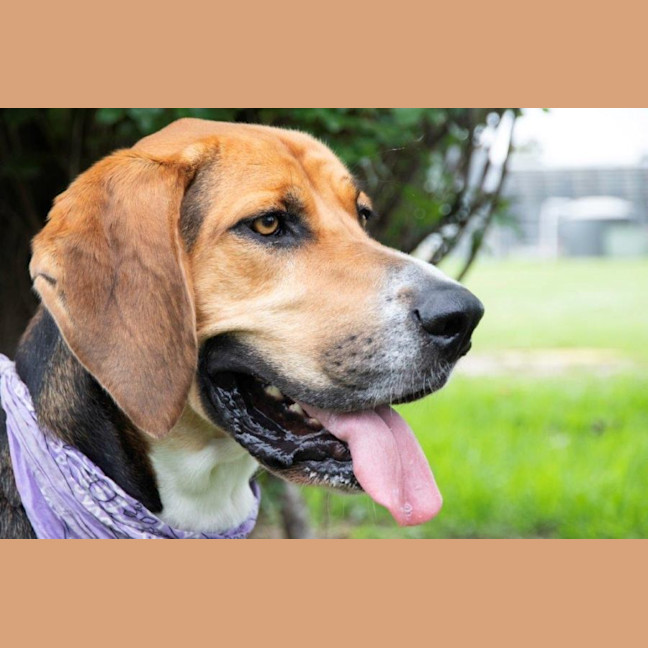 Photo of Lola Wilberforce