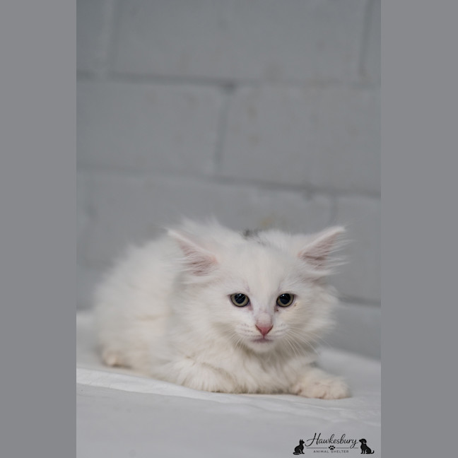 Photo of Anastasia