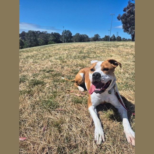 Photo of Yoko Newhaven