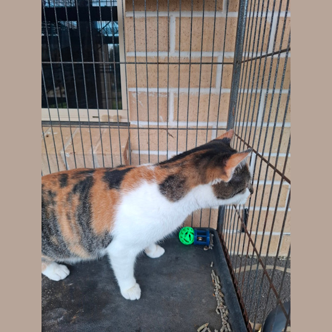 Photo of Hazel