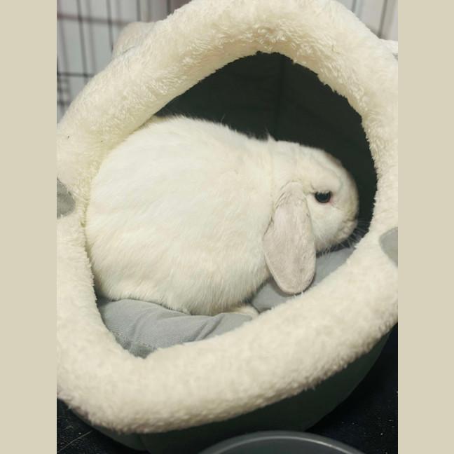 Photo of Youthful Clyde