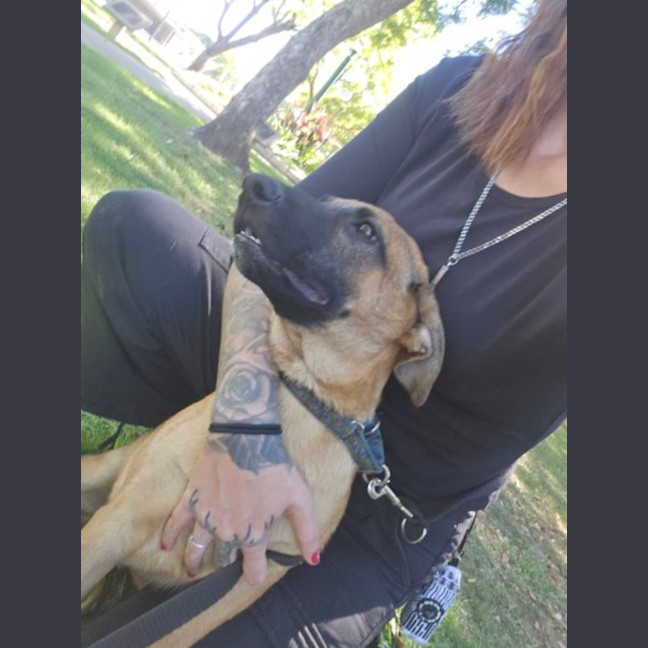 Photo of Benji