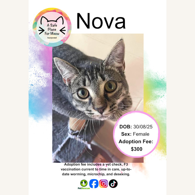 Photo of Nova