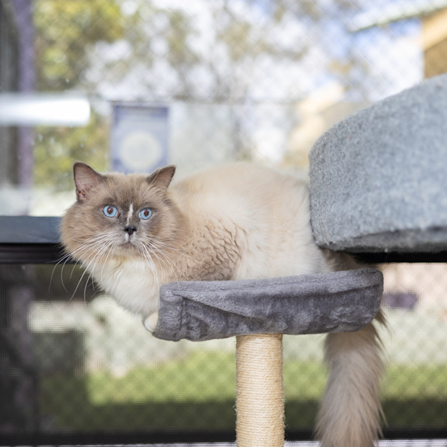 Photo of Kat