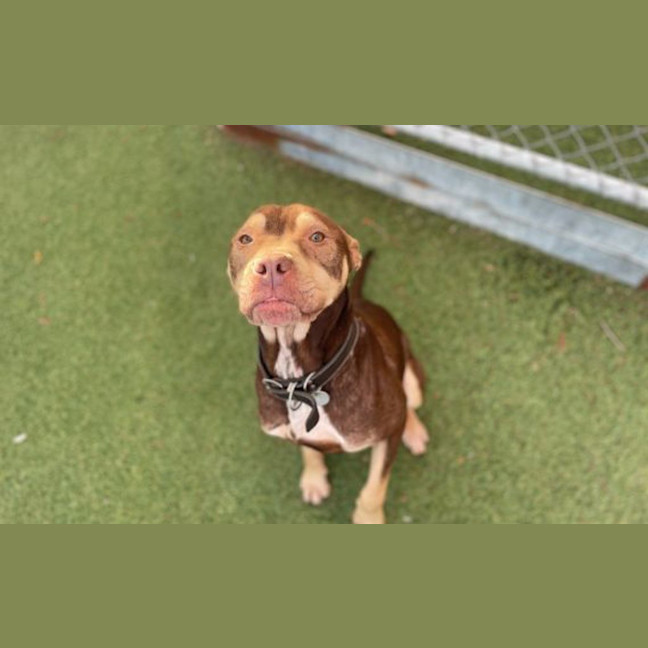 Photo of Guinness