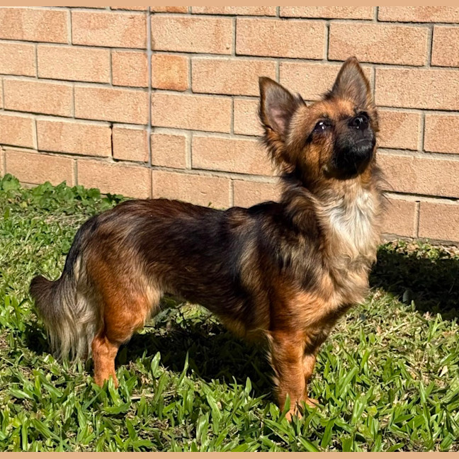 Photo of Phoenix