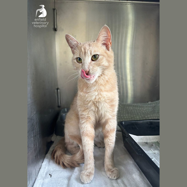 Photo of Happy Heidi