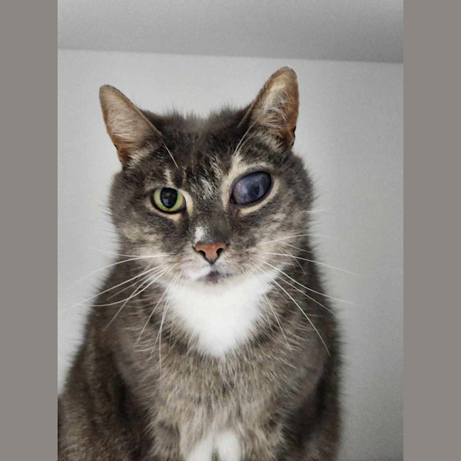 Photo of 🥗 Popeye 5839 🥗