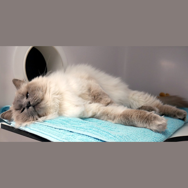 Photo of Claudi Sua014244