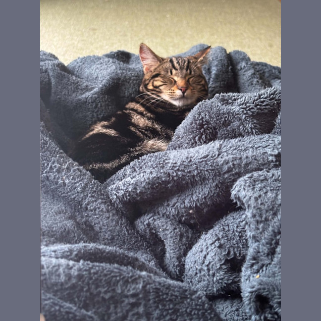 Photo of Millie