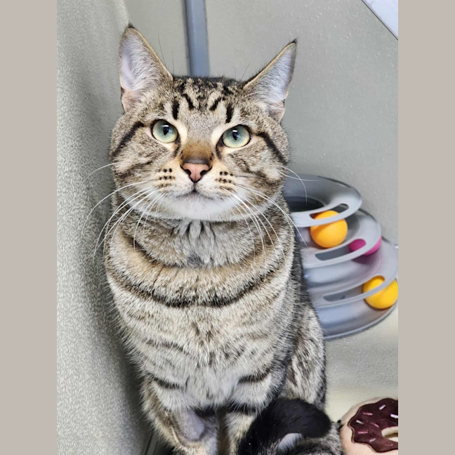 Photo of 🧃 Archibald 6433 🧃