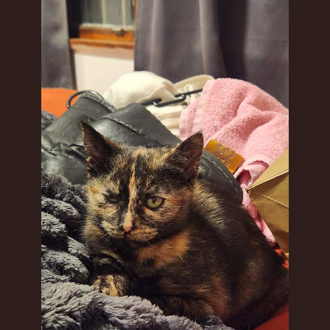 Photo of Maeve