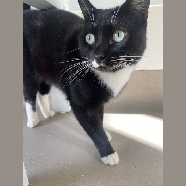 Photo of C1491 Billie