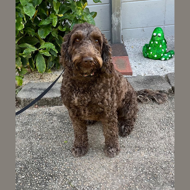 Photo of Missie