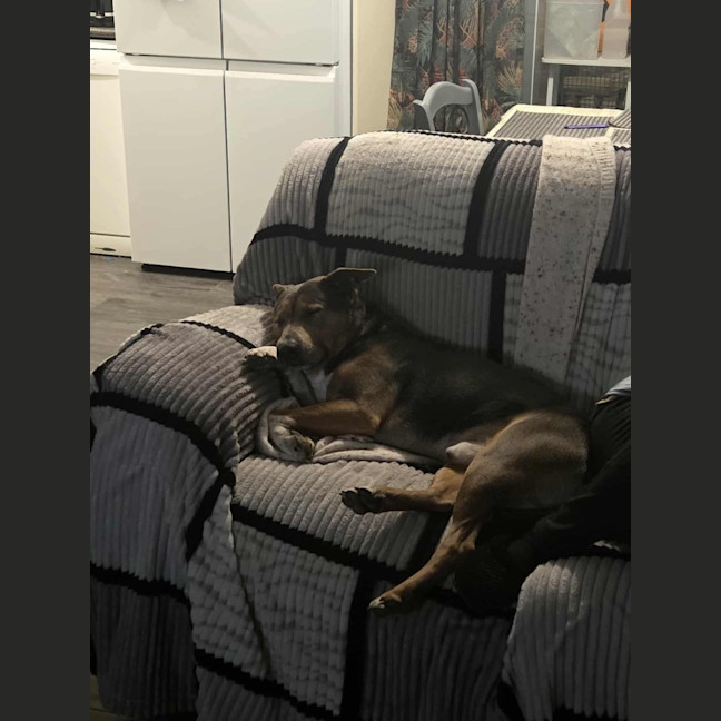 Photo of Blue