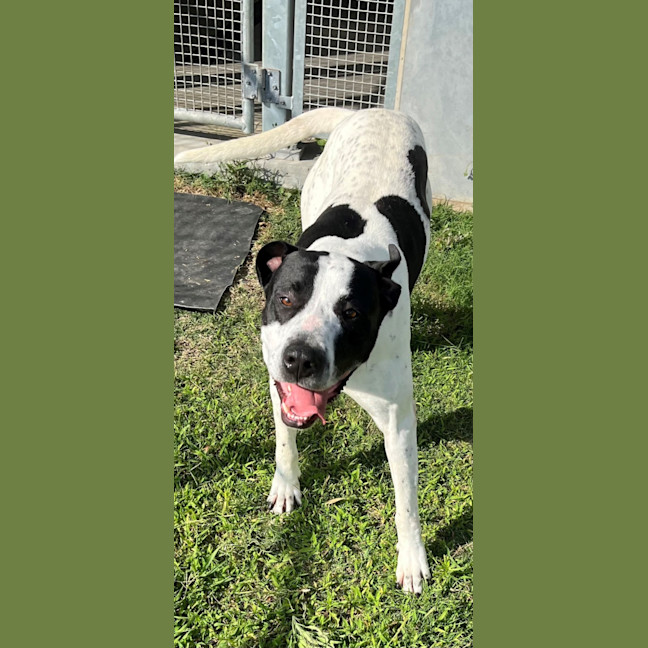 Photo of Bingo (4471)