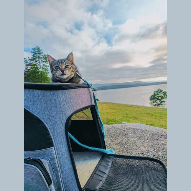 Photo of Holly Bloom