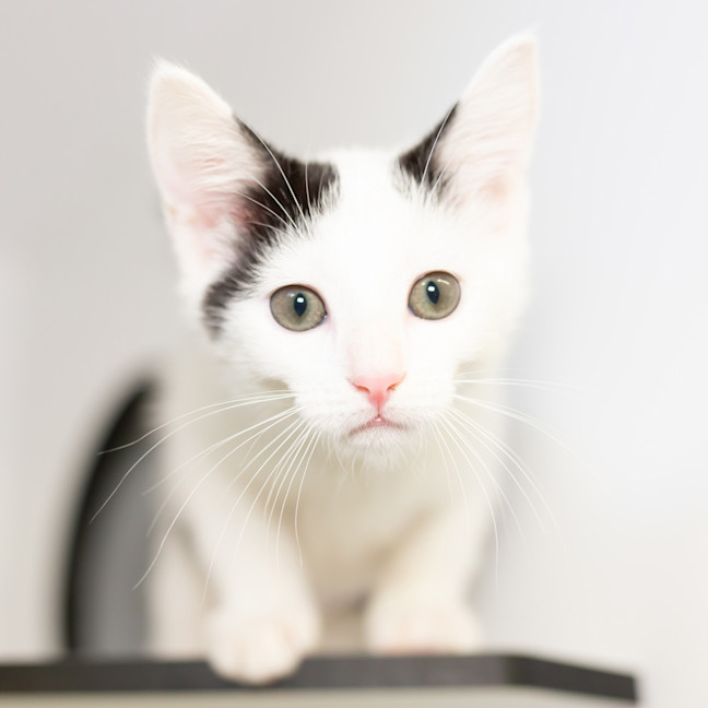 Photo of Missy Mooze