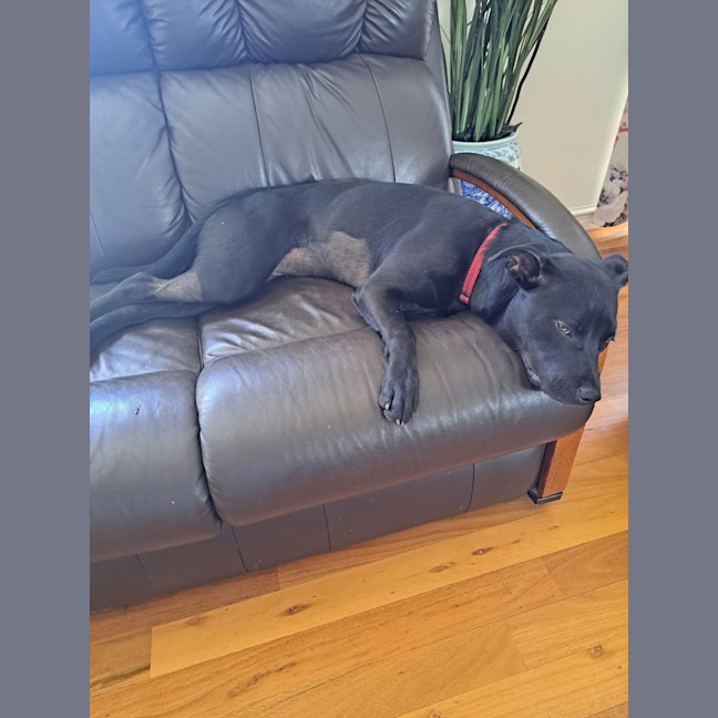 Photo of Zara