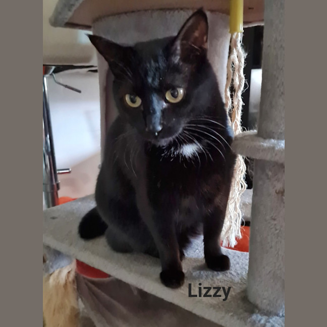 Photo of Lizzie