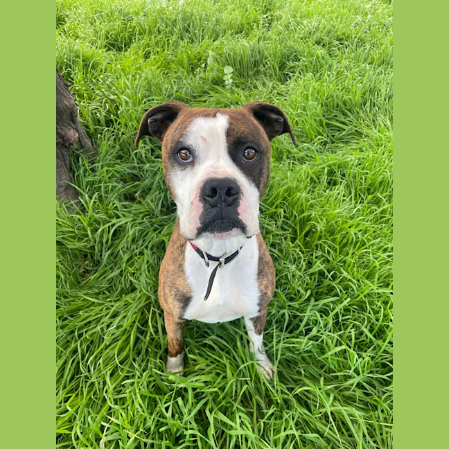Photo of Tank