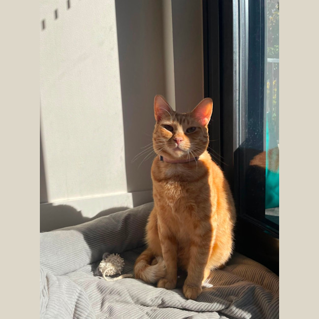Photo of Regina💛