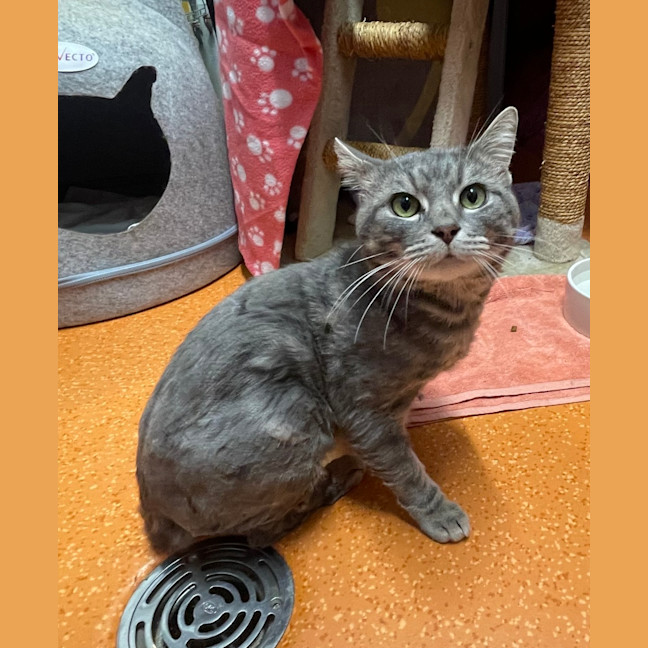 Photo of Kerby