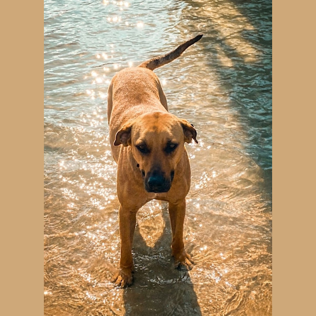 Photo of Princess