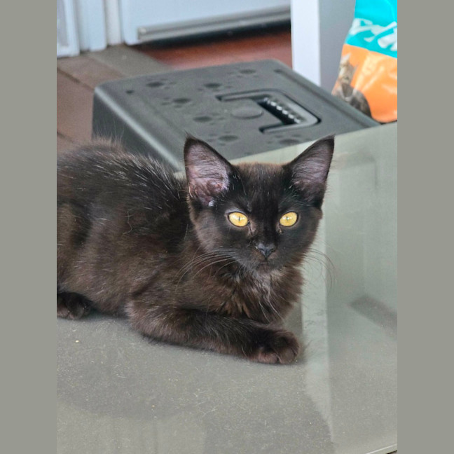 Photo of Chloe