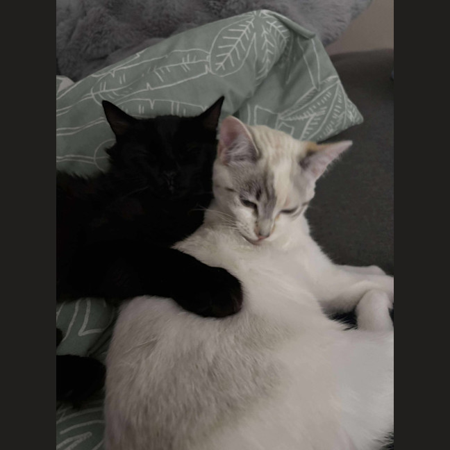 Photo of Marie & Mercedes 