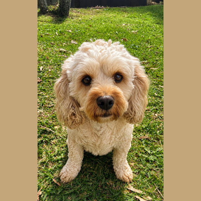 Photo of Lilly