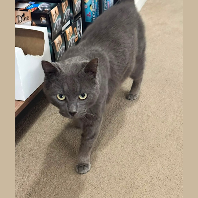 Photo of Percy