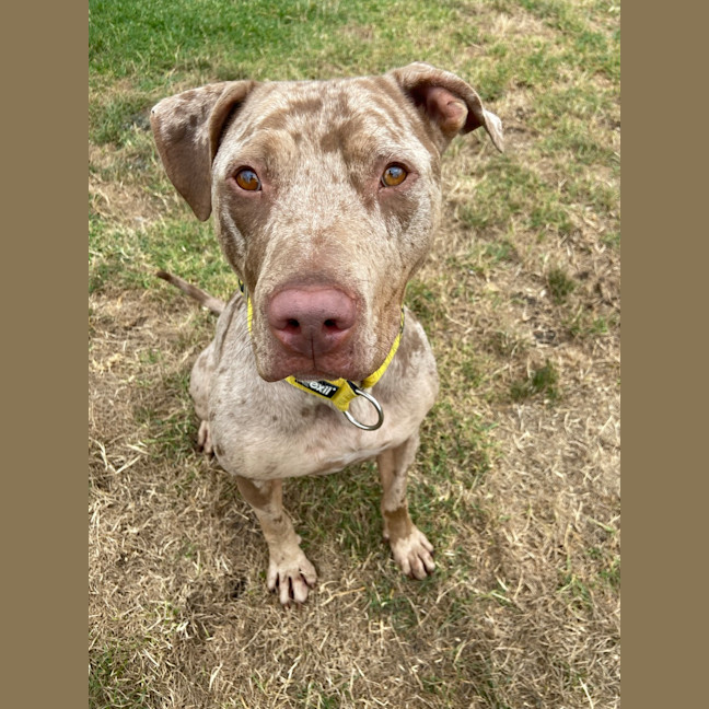 Photo of Mocha