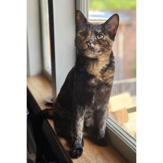 Photo of 11538   Lainey