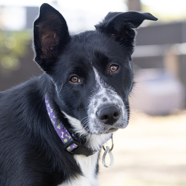 Photo of Murphy