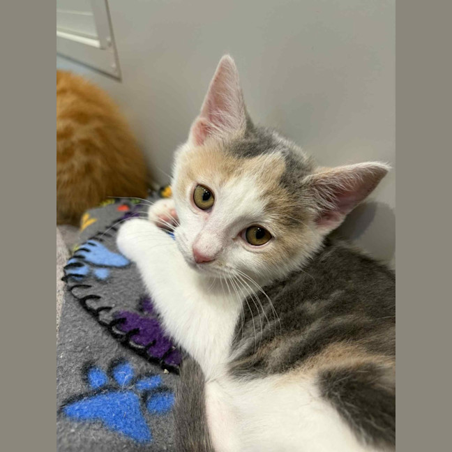 Photo of Martha & Morgan 