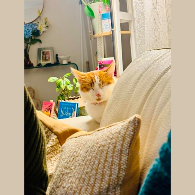 Photo of Miss Cashew Nutz