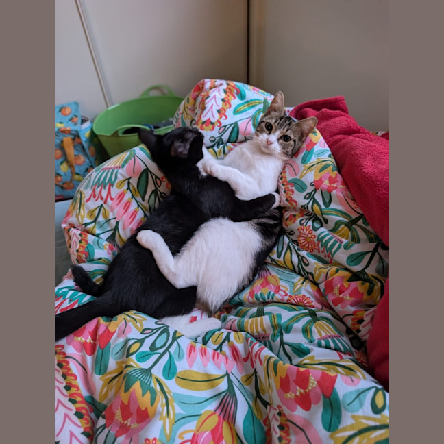 Photo of Honey & Rory 🥰