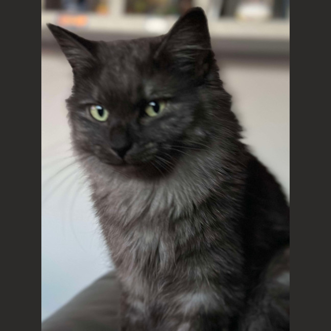 Photo of Amelia 🩷